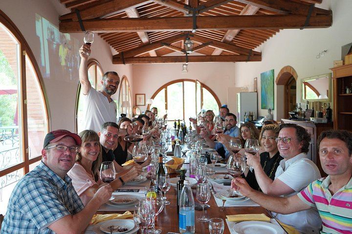 Small-Group Chianti Half-Day: Two Family Wineries, 8 Wines and Home-Cooked Lunch, Max 8 (9/12)