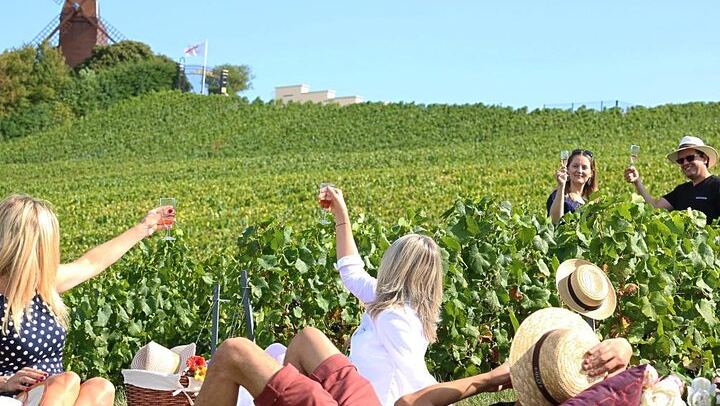 Private Champagne Tour from Paris, WSET 3 Guide: Sixth-Generation Grower, Moët & Chandon (1/11)