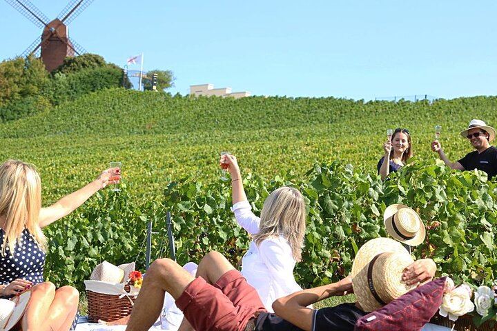 Private Champagne Tour from Paris, WSET 3 Guide: Sixth-Generation Grower, Moët & Chandon (1/11)