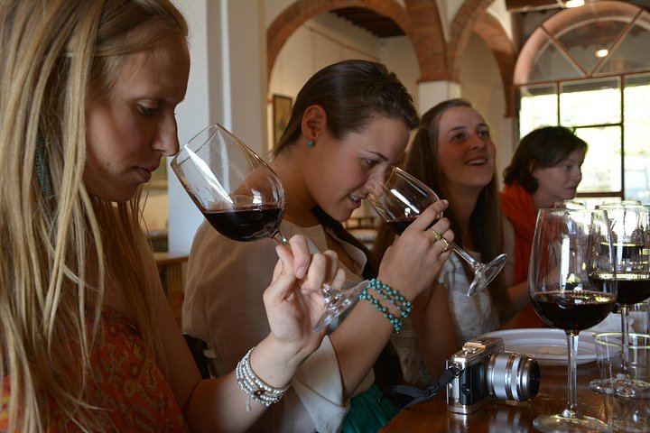 Chianti Classico Half-Day Wine Tour from Florence: 2 Family Wineries and Lunch (1/9)