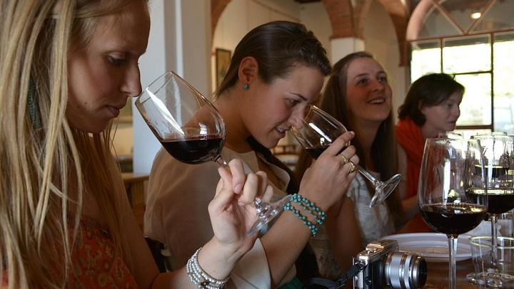 Chianti Classico Half-Day Wine Tour from Florence: 2 Family Wineries and Lunch (1/9)