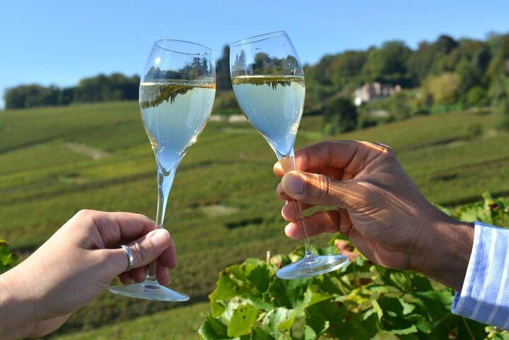 Champagne Day Trip from Paris: Mercier Cellar Train, Dom Caudron, Verzenay Vineyard Picnic (9/12)