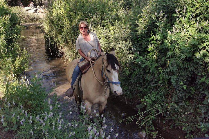Private Horseback Wine Tour from Santiago: Organic Wine and Country Grill (12/12)
