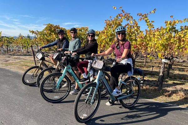 Healdsburg Wine Country Bike Tour with Ace It Bike Tours: Pick Your Bike