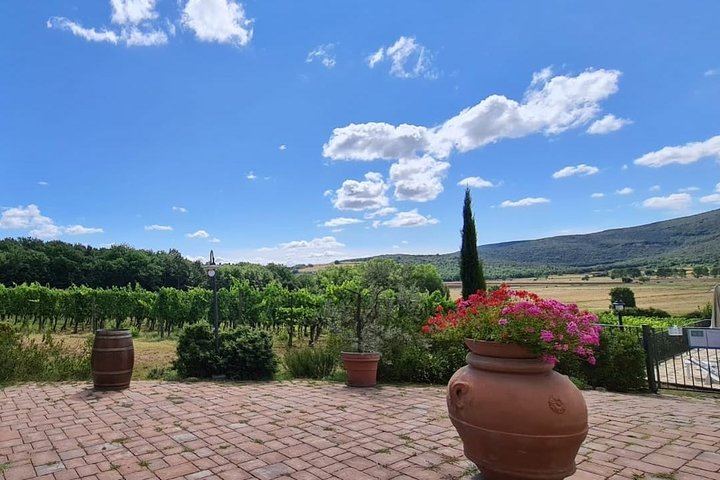 Chianti Classico Wine Day with 2 Wineries and Paired Lunch, Pickup in Florence or Siena (9/11)