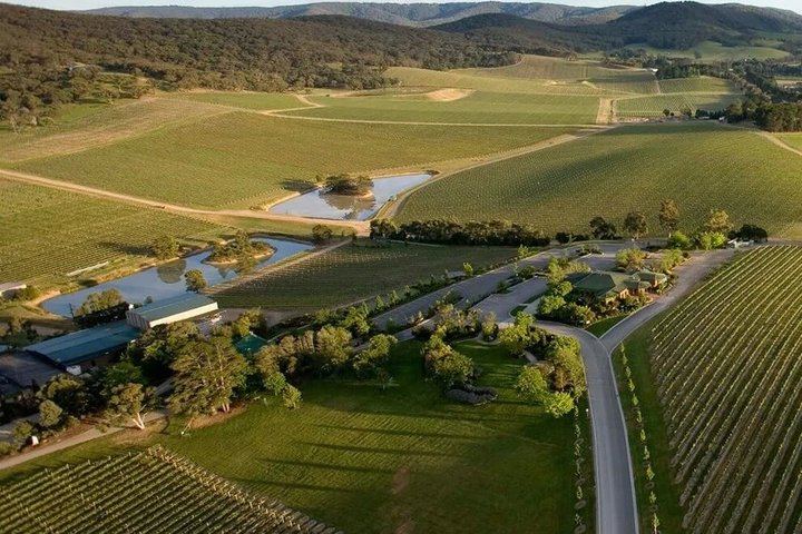 Helicopter Flight and Winery Lunch at De Bortoli in the Yarra Valley, from Essendon Fields (5/7)