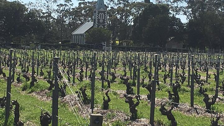 Barossa Valley Private Full-Day Tour for up to 4 in a Land Cruiser Prado (2/12)