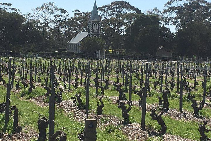 Barossa Valley Private Full-Day Tour for up to 4 in a Land Cruiser Prado (2/12)