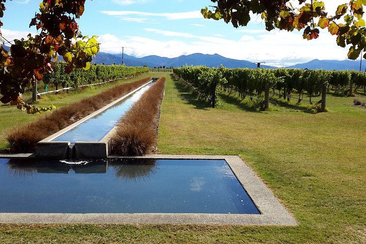 Picton Cruise Shore Excursion: Four Family-Run Marlborough Wineries by Minibus (7/12)