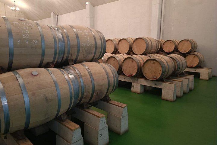 Private Rioja Wine Day from San Sebastian: Two to Three Wineries, Three-Course Lunch (12/12)