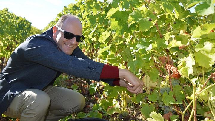 Paris Wine Day Tours Champagne Day Trip: Mumm Cellars, Hautvillers and Three Houses (2/10)