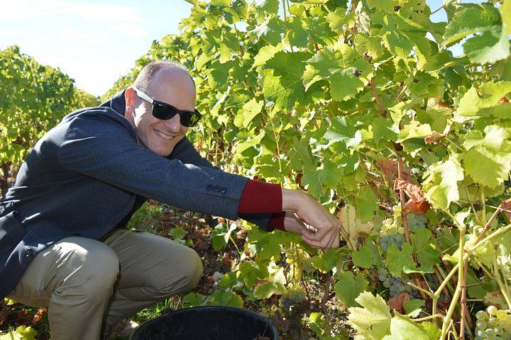 Paris Wine Day Tours Champagne Day Trip: Mumm Cellars, Hautvillers and Three Houses (2/10)