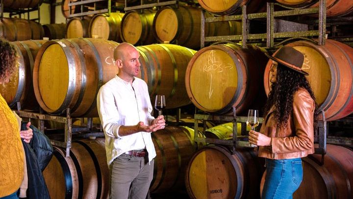 Margaret River Full-Day Hidden Gems Tour: Family Producers, Olive Farm Lunch, Emu Feeding (4/12)
