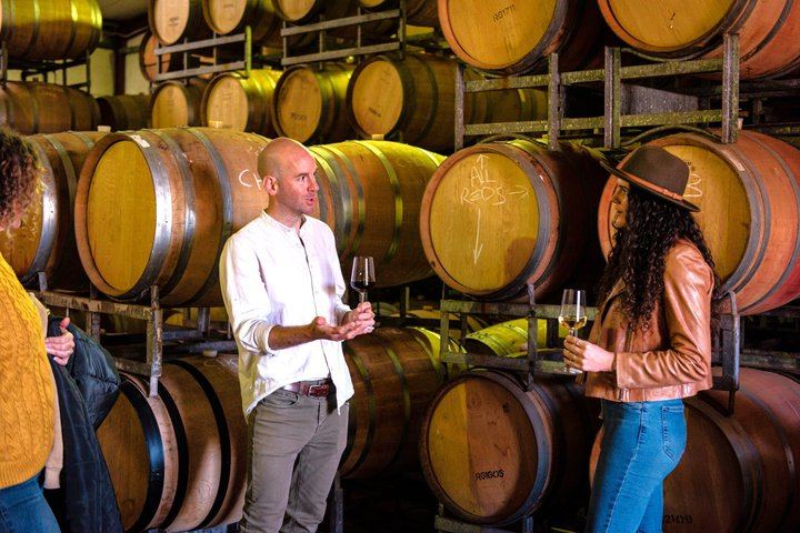 Margaret River Full-Day Hidden Gems Tour: Family Producers, Olive Farm Lunch, Emu Feeding (4/12)