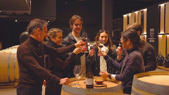 Private Mercedes Wine Day from Barcelona: Ca n'Estella Cava, Tapas and Penedès Wines (1/10)