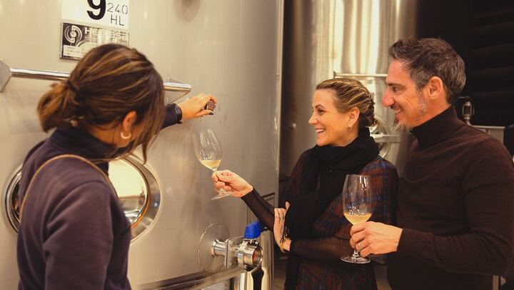 Private Mercedes Wine Day from Barcelona: Ca n'Estella Cava, Tapas and Penedès Wines (4/10)