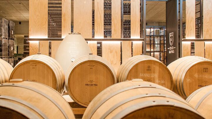 Private Mercedes Wine Day from Barcelona: Ca n'Estella Cava, Tapas and Penedès Wines (3/10)