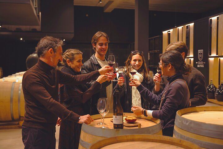 Private Mercedes Wine Day from Barcelona: Ca n'Estella Cava, Tapas and Penedès Wines (1/10)