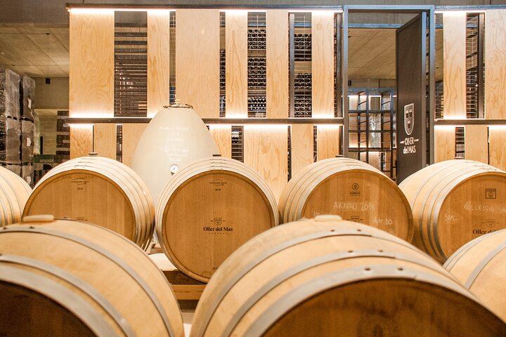 Private Mercedes Wine Day from Barcelona: Ca n'Estella Cava, Tapas and Penedès Wines (3/10)