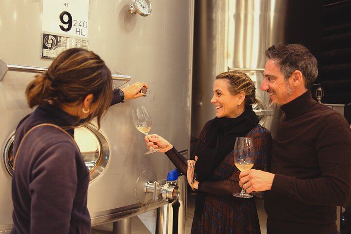 Private Mercedes Wine Day from Barcelona: Ca n'Estella Cava, Tapas and Penedès Wines (4/10)