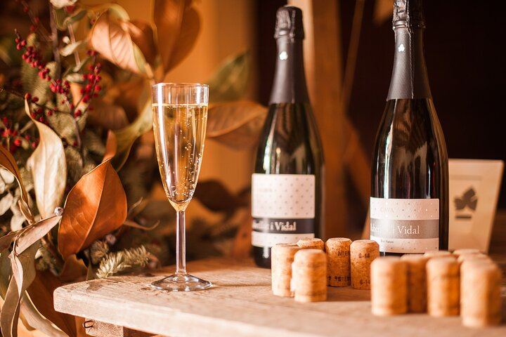 Private Mercedes Wine Day from Barcelona: Ca n'Estella Cava, Tapas and Penedès Wines (10/10)