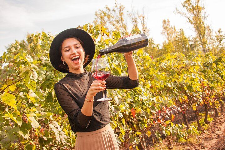 Private Mercedes Wine Day from Barcelona: Ca n'Estella Cava, Tapas and Penedès Wines (5/10)
