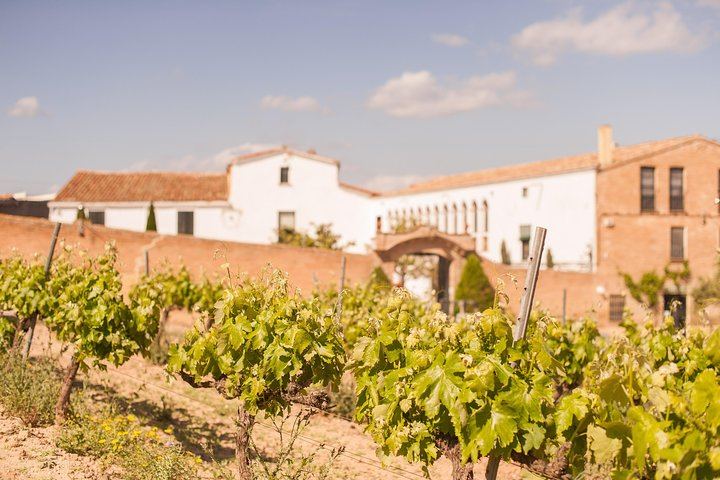 Private Mercedes Wine Day from Barcelona: Ca n'Estella Cava, Tapas and Penedès Wines (7/10)