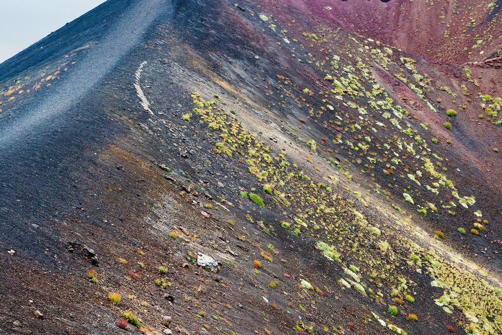 Two hikers on the crater rim of Mount Etna above green-tufted ash slopes