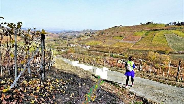 Walking Tour from Alba with Hilltop Winery Tasting: 6 km Hike on Foot, No Car Needed (3/12)