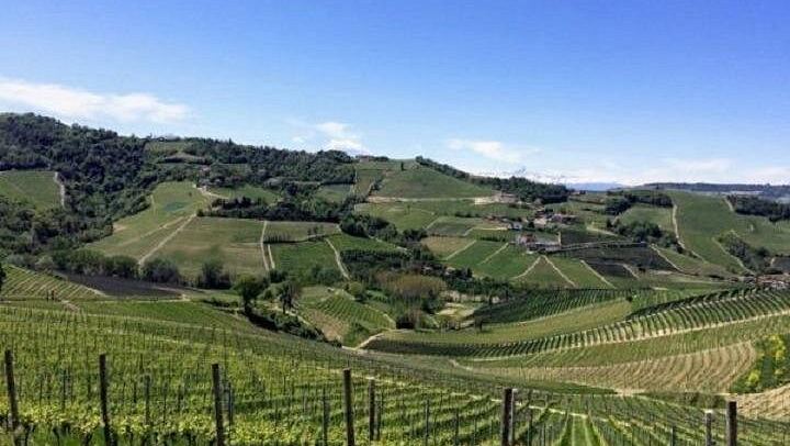 Walking Tour from Alba with Hilltop Winery Tasting: 6 km Hike on Foot, No Car Needed (4/12)