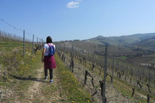Walking Tour from Alba with Hilltop Winery Tasting: 6 km Hike on Foot, No Car Needed