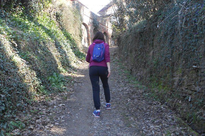 Walking Tour from Alba with Hilltop Winery Tasting: 6 km Hike on Foot, No Car Needed (7/12)