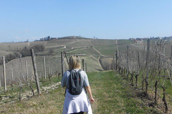 Walking Tour from Alba with Hilltop Winery Tasting: 6 km Hike on Foot, No Car Needed (8/12)