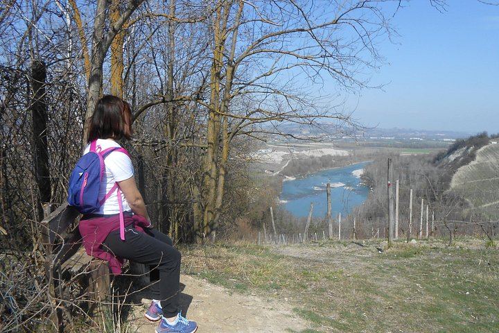 Walking Tour from Alba with Hilltop Winery Tasting: 6 km Hike on Foot, No Car Needed (9/12)