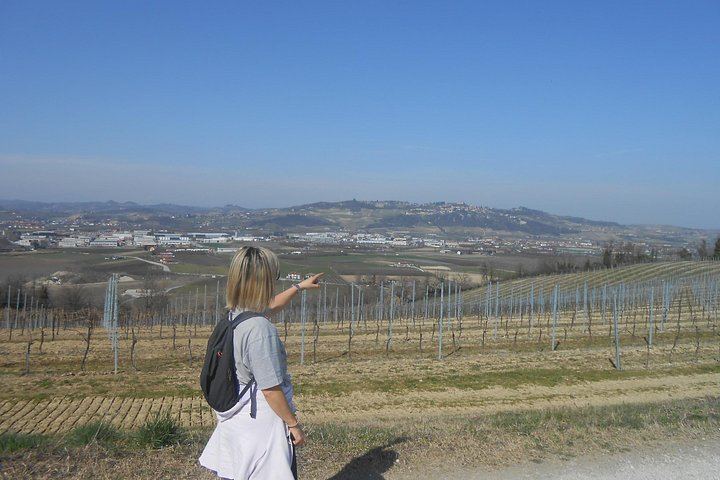 Walking Tour from Alba with Hilltop Winery Tasting: 6 km Hike on Foot, No Car Needed (6/12)