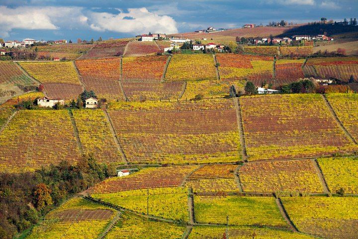Walking Tour from Alba with Hilltop Winery Tasting: 6 km Hike on Foot, No Car Needed (2/12)