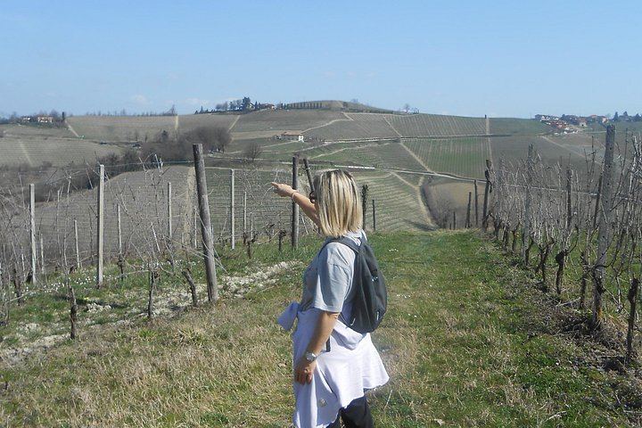 Walking Tour from Alba with Hilltop Winery Tasting: 6 km Hike on Foot, No Car Needed (12/12)