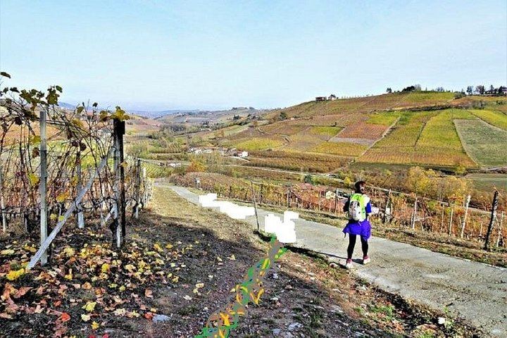 Walking Tour from Alba with Hilltop Winery Tasting: 6 km Hike on Foot, No Car Needed (3/12)