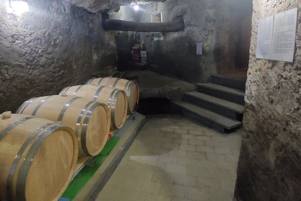 Vesuvius DOP Wine Tasting at a Caprettone Vineyard in Ercolano with 1700s Lava Cave Visit