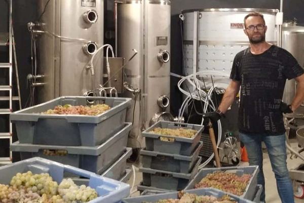 Hoplita Winery Tour in Logroño's Old Town: Four Wines in a Former Palace