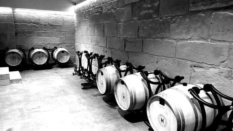 Hoplita Winery Tour in Logroño's Old Town: Four Wines in a Former Palace (1/7)