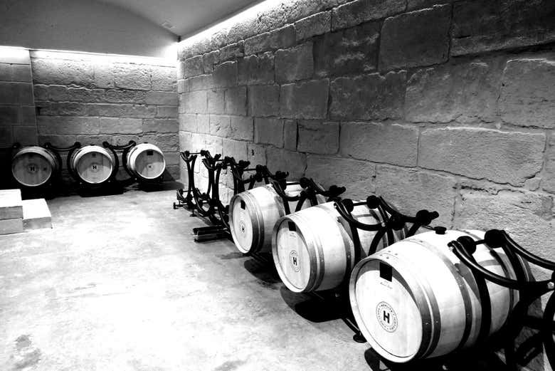 Hoplita Winery Tour in Logroño's Old Town: Four Wines in a Former Palace (1/7)