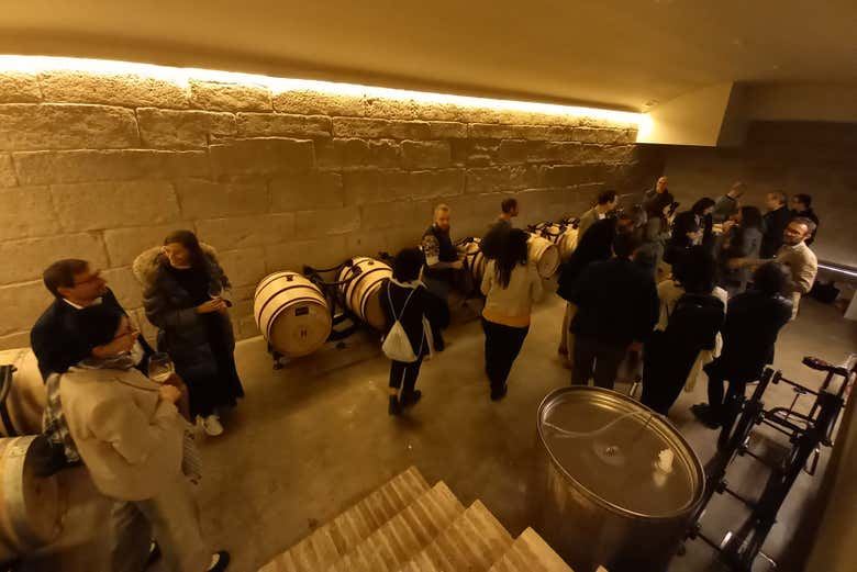 Hoplita Winery Tour in Logroño's Old Town: Four Wines in a Former Palace (2/7)