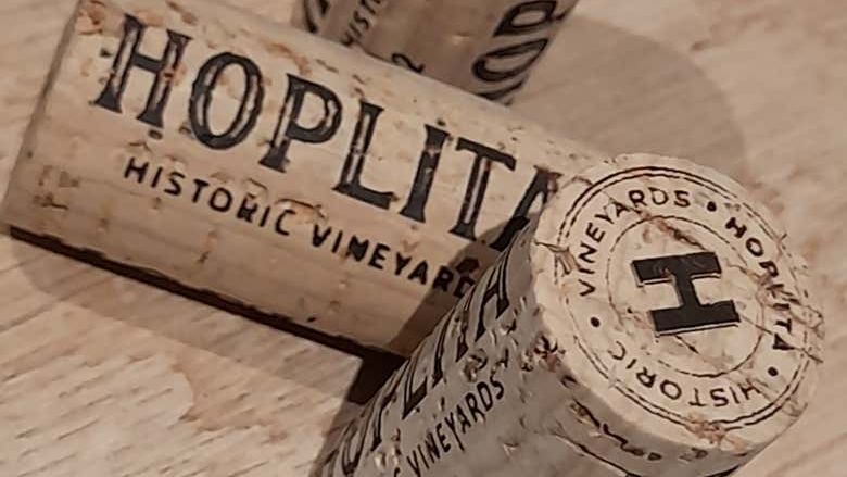 Hoplita Winery Tour in Logroño's Old Town: Four Wines in a Former Palace (3/7)