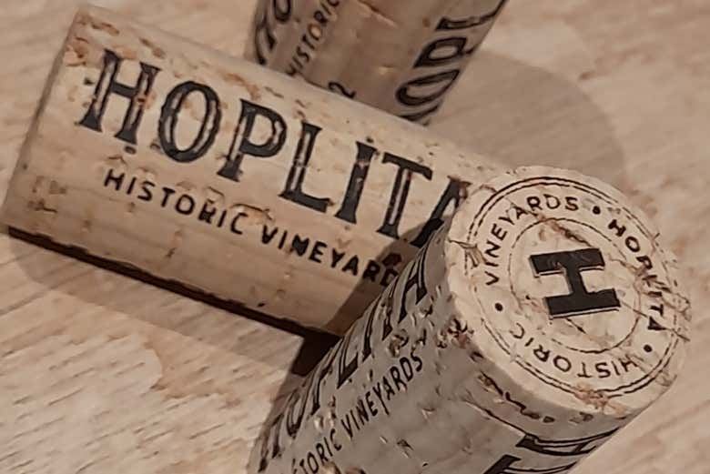 Hoplita Winery Tour in Logroño's Old Town: Four Wines in a Former Palace (3/7)