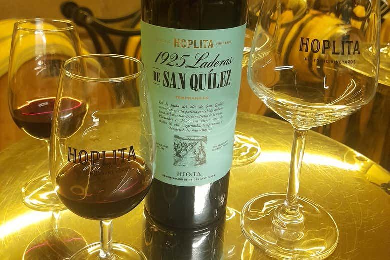 Hoplita Winery Tour in Logroño's Old Town: Four Wines in a Former Palace (5/7)