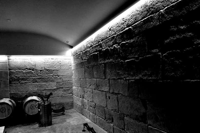 Hoplita Winery Tour in Logroño's Old Town: Four Wines in a Former Palace (7/7)