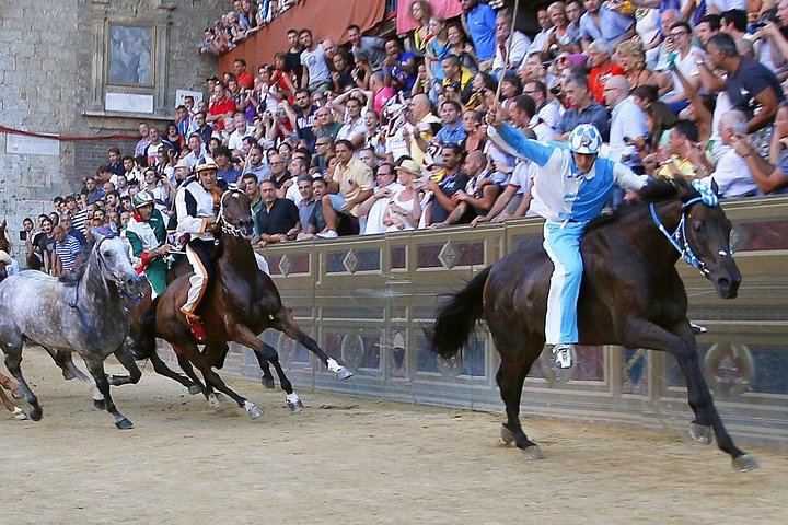 Private Siena and Chianti Day Trip from Florence by Mercedes Minivan, 8 Hours (5/12)