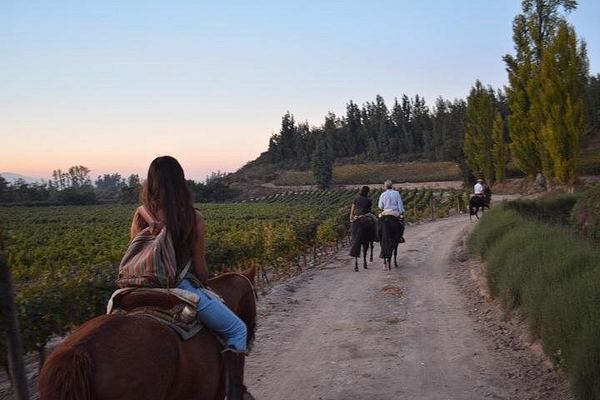 Private Horseback Wine Tour from Santiago: Organic Wine and Country Grill