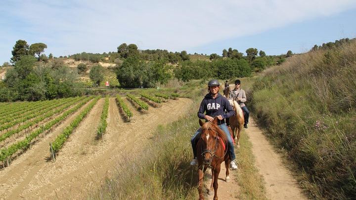 Private Horseback Ride Through Penedès Vineyards with Wine Tasting and Tapas Lunch (3/5)